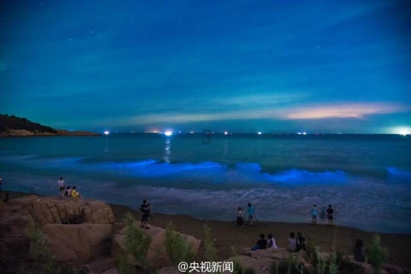 【基层动态】撑起未成年人保护伞 共绘网络安全“童心圆”