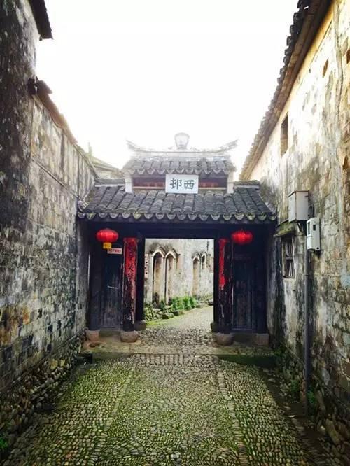 硕大的苹果